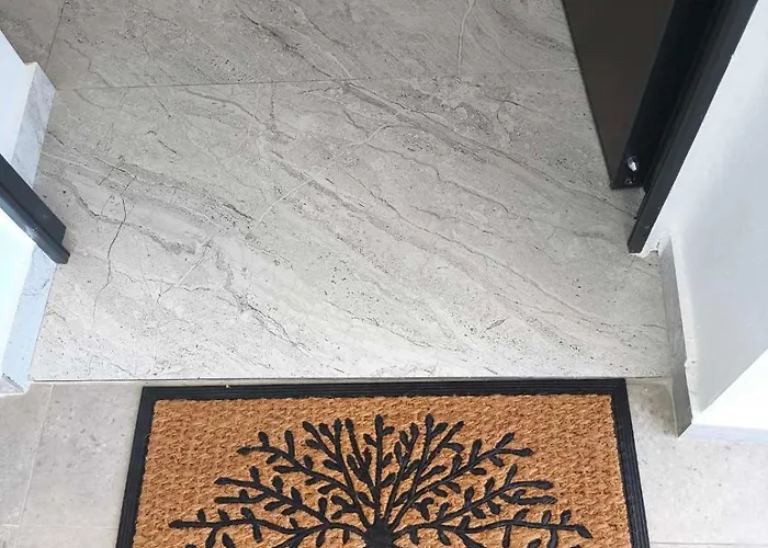 Petra Mare * 科帕罗